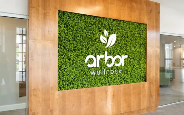 Arbor Wellness treatment setting