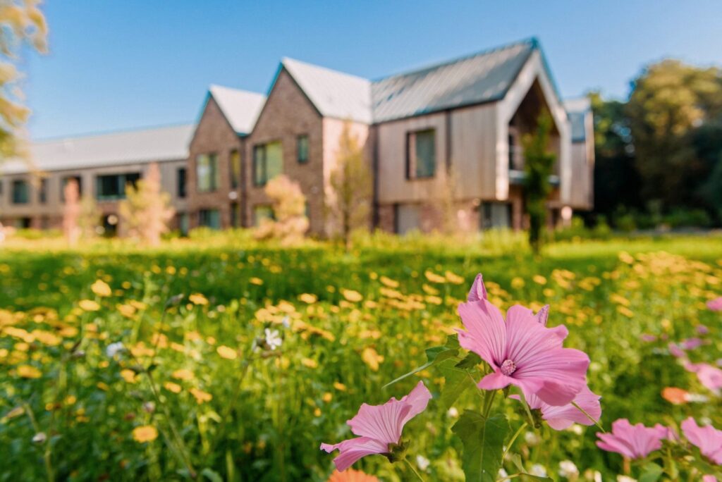 Delamere Rehab treatment setting
